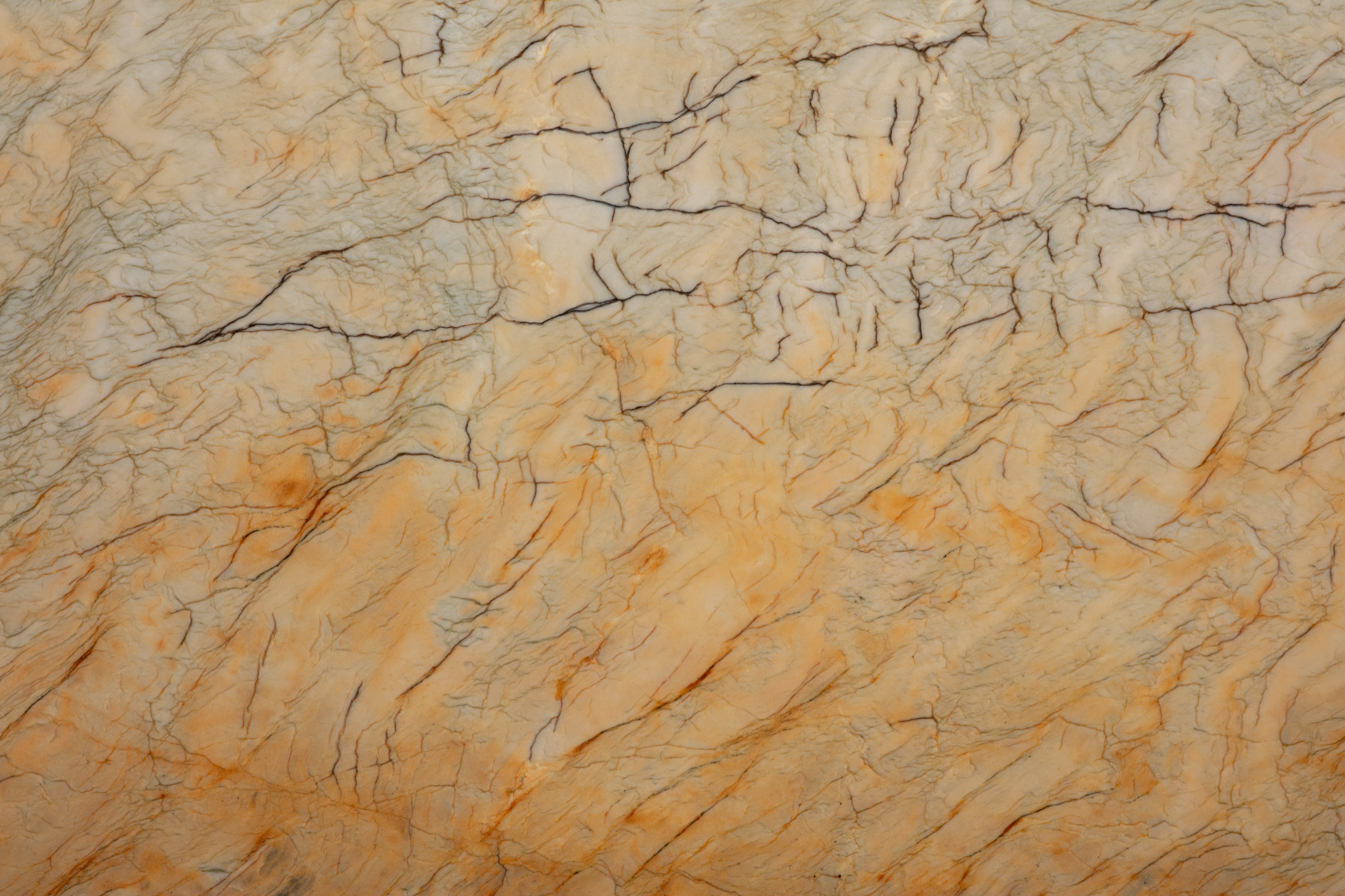 PARADISE - фото 7