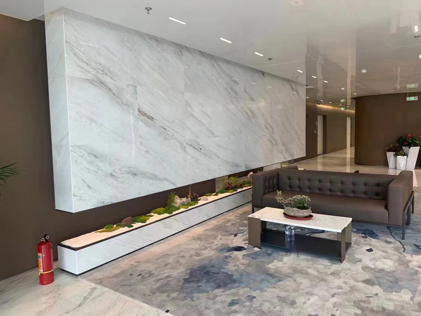 Стінові панелі з мармуру CASTRO WHITE