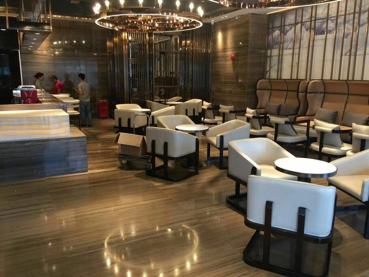 Стінові панелі та підлога з мармуру COFFE WOOD